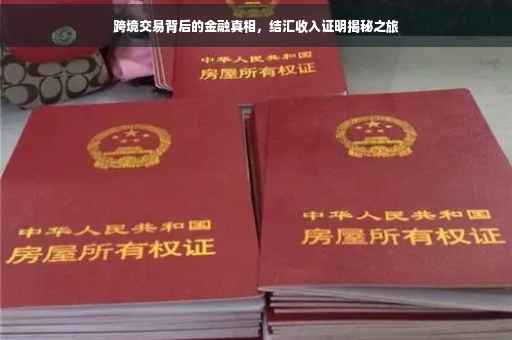 跨境交易背后的金融真相，结汇收入证明揭秘之旅