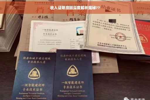 收入证明原因深度解析揭秘??