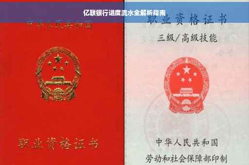 亿联银行进度流水全解析指南