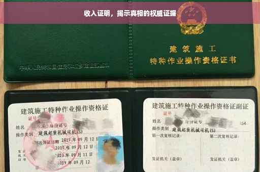 收入证明，揭示真相的权威证据