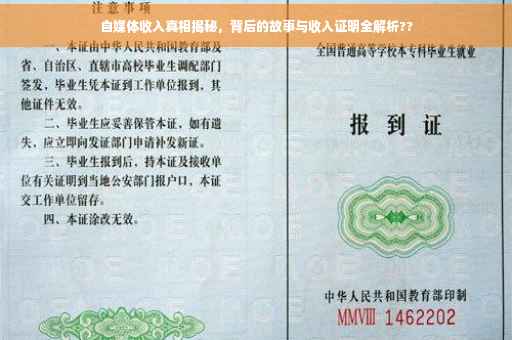 自媒体收入真相揭秘，背后的故事与收入证明全解析??