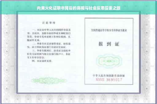 内黄火化证明书背后的真相与社会反思探索之旅