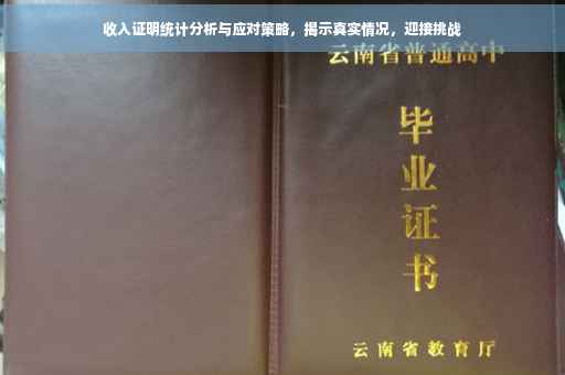 收入证明统计分析与应对策略，揭示真实情况，迎接挑战