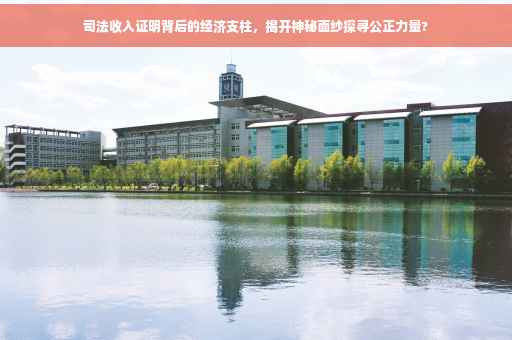 司法收入证明背后的经济支柱，揭开神秘面纱探寻公正力量?