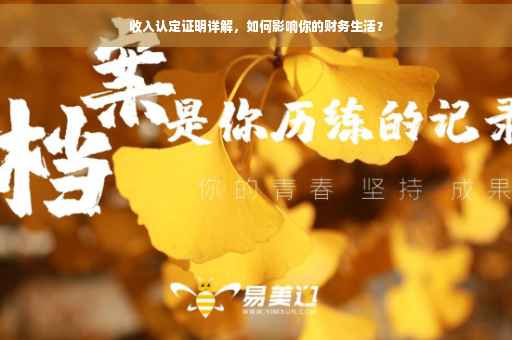 收入认定证明详解，如何影响你的财务生活？
