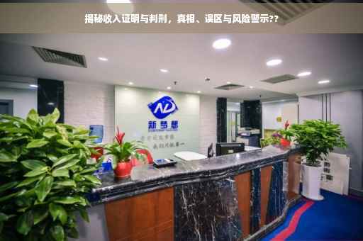 揭秘收入证明与判刑，真相、误区与风险警示??