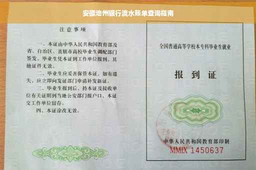 安徽池州银行流水账单查询指南