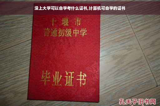 没上大学可以自学考什么证书,计算机可自学的证书