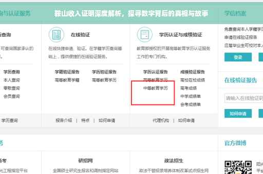 鞍山收入证明深度解析，探寻数字背后的真相与故事