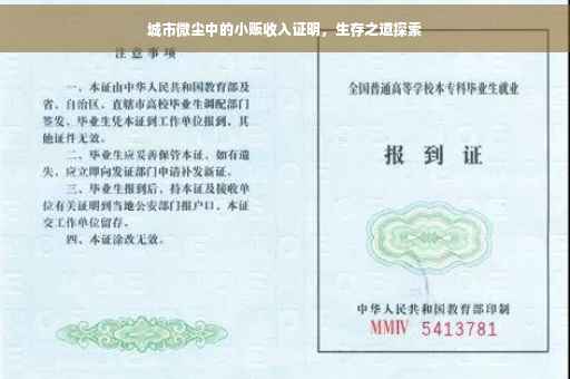 城市微尘中的小贩收入证明，生存之道探索