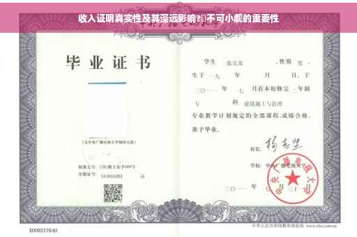收入证明真实性及其深远影响?️不可小觑的重要性
