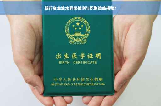 银行资金流水异常检测与识别策略揭秘?