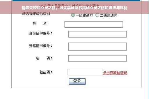情感失控的心灵之旅，泪失禁证明书揭秘心灵之旅的波折与挑战