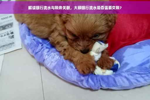 解读银行流水与税务关联，大额银行流水是否需要交税？