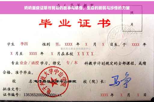 奶奶重病证明书背后的故事与感悟，生命的脆弱与珍惜的力量