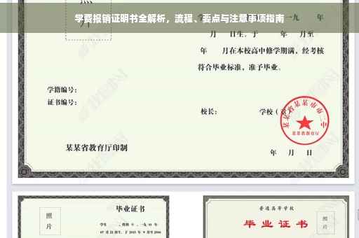学费报销证明书全解析，流程、要点与注意事项指南