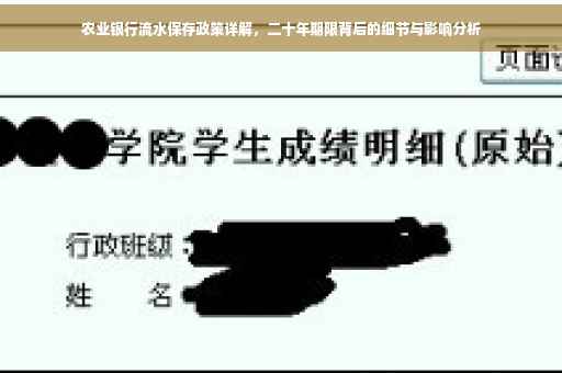 农业银行流水保存政策详解，二十年期限背后的细节与影响分析