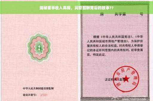 揭秘董事收入真相，高管薪酬背后的故事??