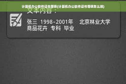 计算机办公软件证书等级(计算机办公软件证书等级怎么填)