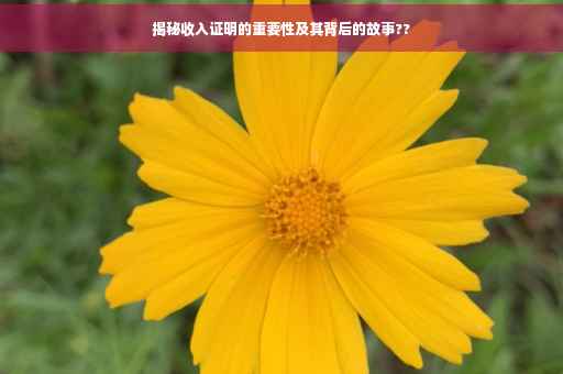 揭秘收入证明的重要性及其背后的故事??
