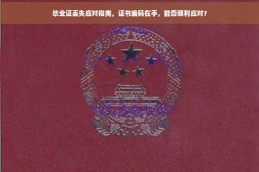 毕业证丢失应对指南，证书编码在手，能否顺利应对？