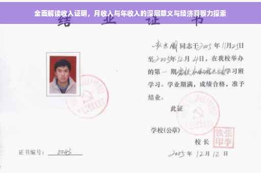 全面解读收入证明，月收入与年收入的深层意义与经济洞察力探索