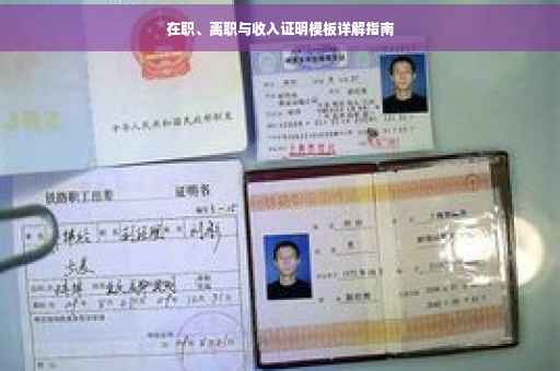 在职、离职与收入证明模板详解指南