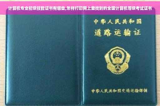 计算机专业初级技能证书有哪些,怎样打印网上查找到的全国计算机等级考试证书