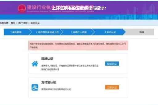 上环证明书的深度解读与探讨?