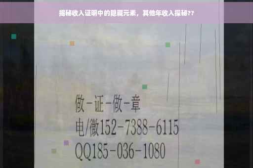 揭秘收入证明中的隐藏元素，其他年收入探秘??