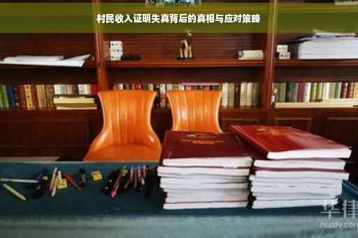 村民收入证明失真背后的真相与应对策略