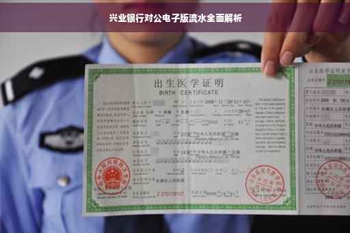 兴业银行对公电子版流水全面解析