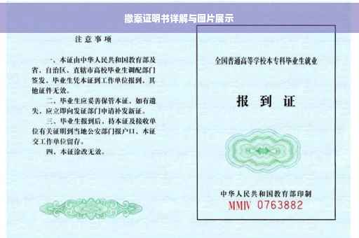 撤案证明书详解与图片展示