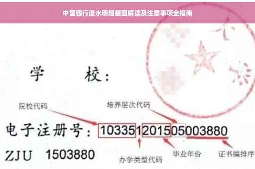 中国银行流水明细截图解读及注意事项全指南
