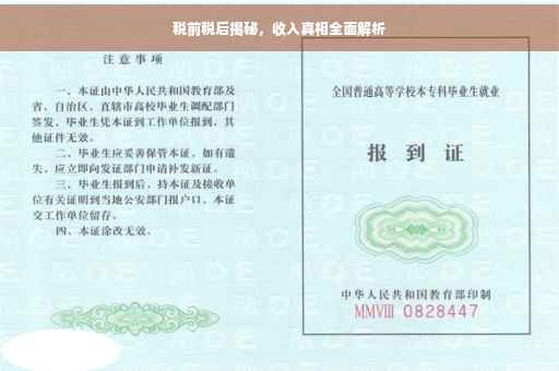 税前税后揭秘，收入真相全面解析
