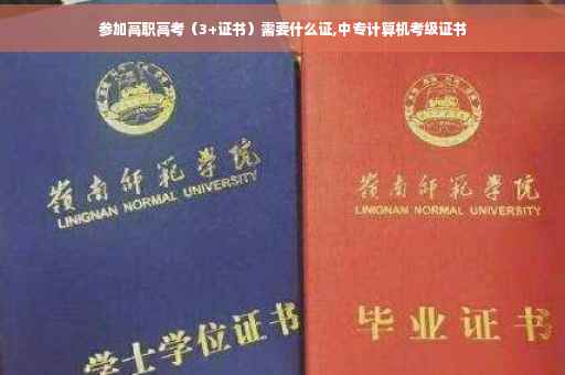 参加高职高考（3+证书）需要什么证,中专计算机考级证书