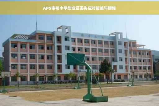 APS审核小学毕业证丢失应对策略与措施