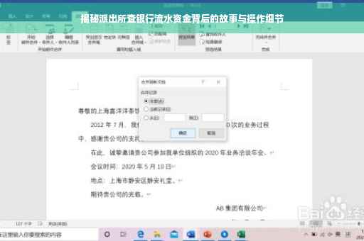 揭秘派出所查银行流水资金背后的故事与操作细节