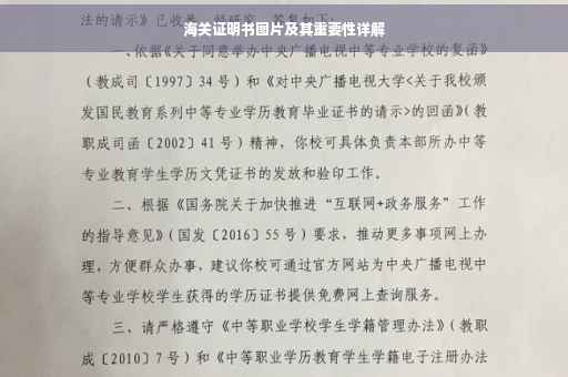 海关证明书图片及其重要性详解