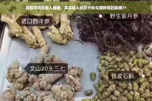 税前平均月收入揭秘，真实收入状况分析与理财规划指南??