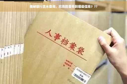 揭秘银行流水查询，究竟能查看到哪些信息？??