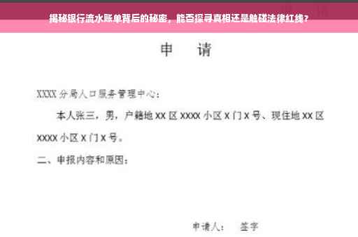 揭秘银行流水账单背后的秘密，能否探寻真相还是触碰法律红线？