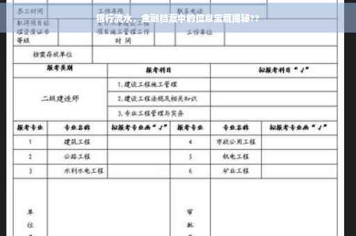 银行流水，金融档案中的信息宝藏揭秘??