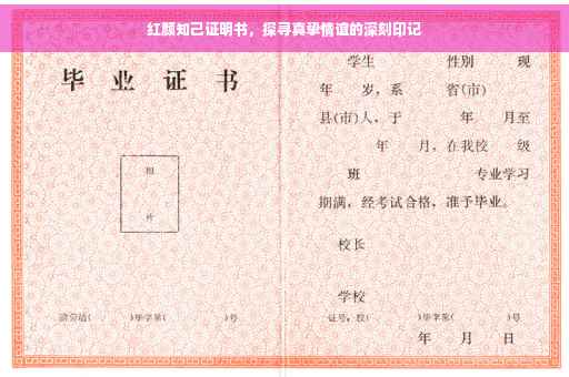 红颜知己证明书，探寻真挚情谊的深刻印记