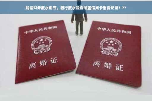 解读财务流水细节，银行流水是否涵盖信用卡消费记录？??