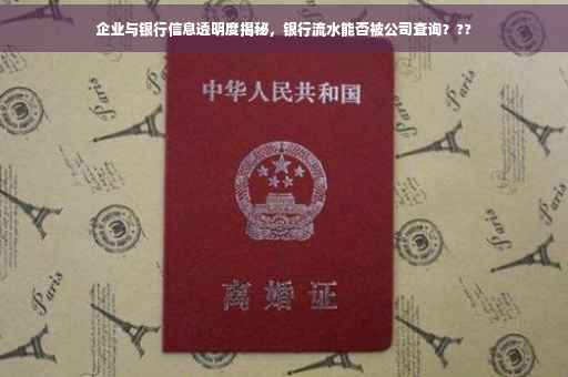 企业与银行信息透明度揭秘，银行流水能否被公司查询？??