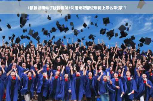?核检证明电子版能用吗?沈阳无犯罪证明网上怎么申请⚡️