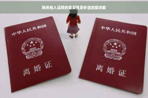 税务收入证明的重要性及申请流程详解