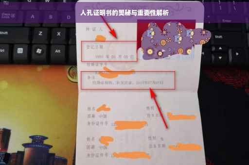 人孔证明书的奥秘与重要性解析