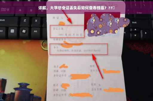 详解，大学毕业证丢失后如何查看档案？??✨